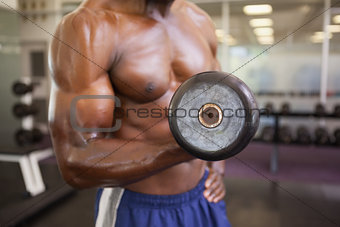 Muscular man exercising with dumbbell in gym