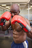 Muscular boxer in defensive stance