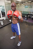 Muscular boxer in defensive stance in health club