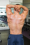 Rear view of bodybuilder posing in gym