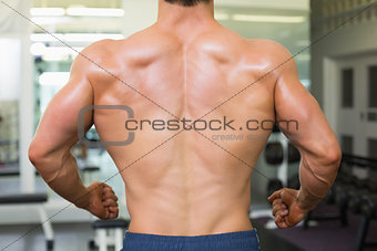 Close-up rear view of a bodybuilder in gym
