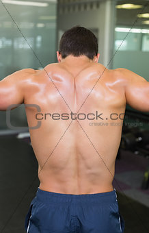 Rear view of a shirtless bodybuilder in gym