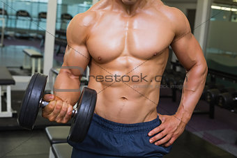 Shirtless muscular man exercising with dumbbell