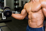 Mid section of shirtless muscular man exercising with dumbbell