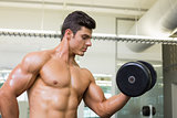 Shirtless muscular man exercising with dumbbell