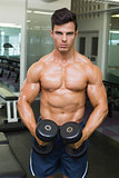Shirtless muscular man flexing muscles with dumbbells in gym
