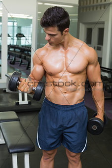 Shirtless muscular man exercising with dumbbells in gym
