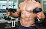 Mid section of shirtless muscular man exercising with dumbbells