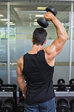 Rear view of a muscular man exercising with dumbbell
