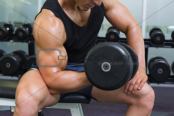 Mid section of muscular man exercising with dumbbell