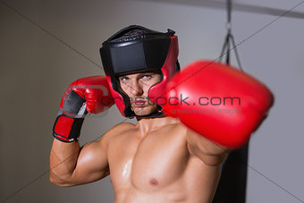 Male boxer attacking with his left in health club