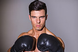 Close-up portrait of a shirtless muscular boxer
