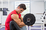 Muscular man lifting barbell in gym