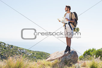 Handsome hiker holding map at mountain summit