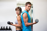 Fit couple lifting dumbbells together