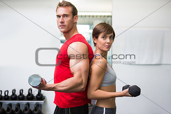 Fit couple lifting dumbbells together looking at camera
