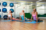 Yoga class in cobra pose in fitness studio