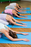 Yoga class in childs pose in fitness studio