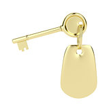 Key and key ring