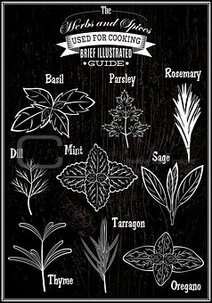 set vector images plant herbs for cooking