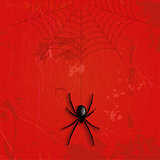 Grunge Halloween spider background