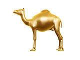 golden camel