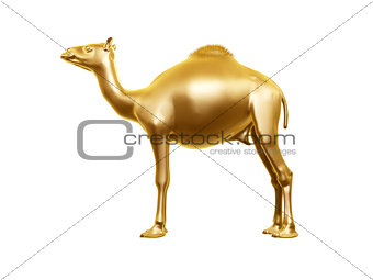 golden camel