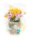 Watercolor Image Of  Autumn Chrysanthemums