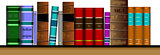 Vector illustration bookshelf library with old books
