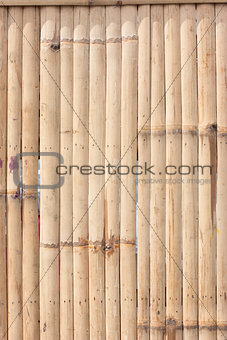 pattern of bamboo