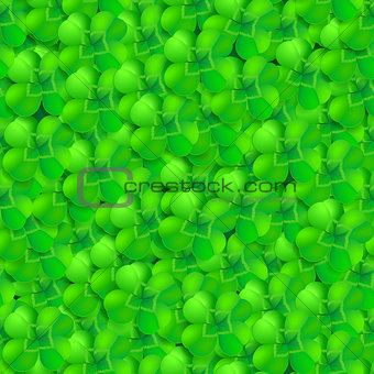 seamless pattern of shamrock, trefoil or clover leaf