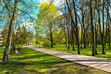 city park in spring sunny day