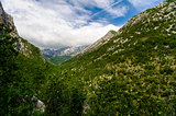 Scenic mountain landscape. Paklenica National Park in Croatia