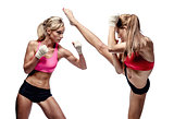 Two attractive athletic girls fighting