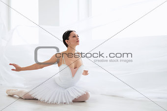 Ballerina in pointe
