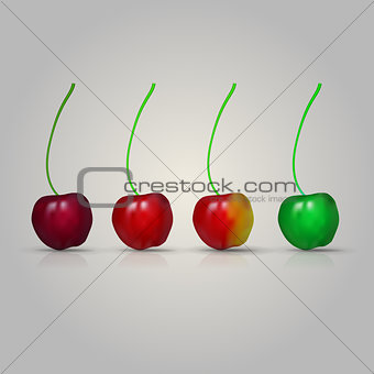 Illustration of four cherries