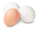 Two White And One Brown Egg