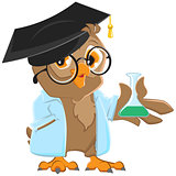 Owl teacher in a blue robe holding a flask