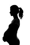 silhouette of a pregnant woman on a white background 