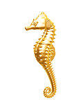 golden seahorse