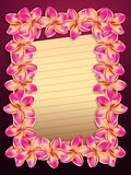 Pink plumeria flowers frame with paper