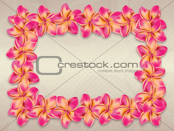 Pink plumeria flowers frame
