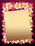 Plumeria flowers frame with paper