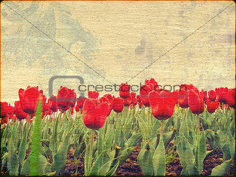 Tulips on Stained Paper