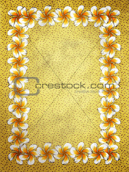 White frangipani flowers frame on sand