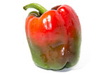 Colored Fresh paprika