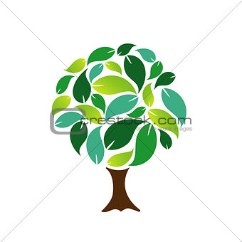 Decorative Tree With Green Leaves