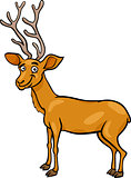 wapiti deer cartoon illustration