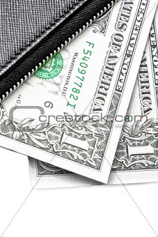 detail of black purse with dollars