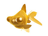 golden goldfish